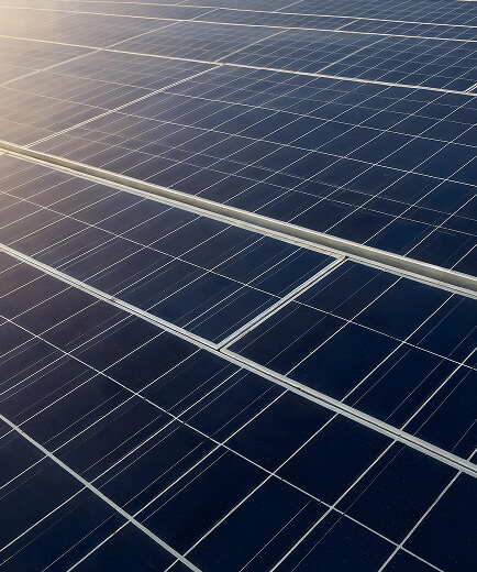 bifacial